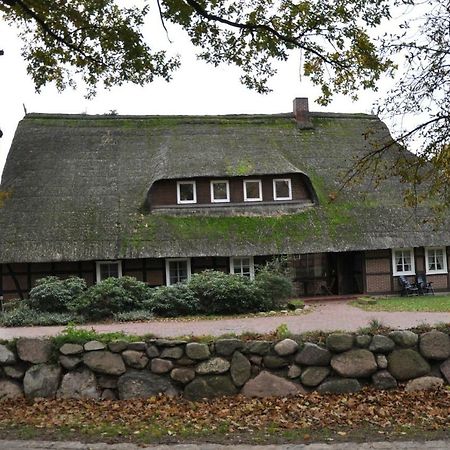 Trebel Reit- Und Bauernhof Klaucke 아파트 외부 사진